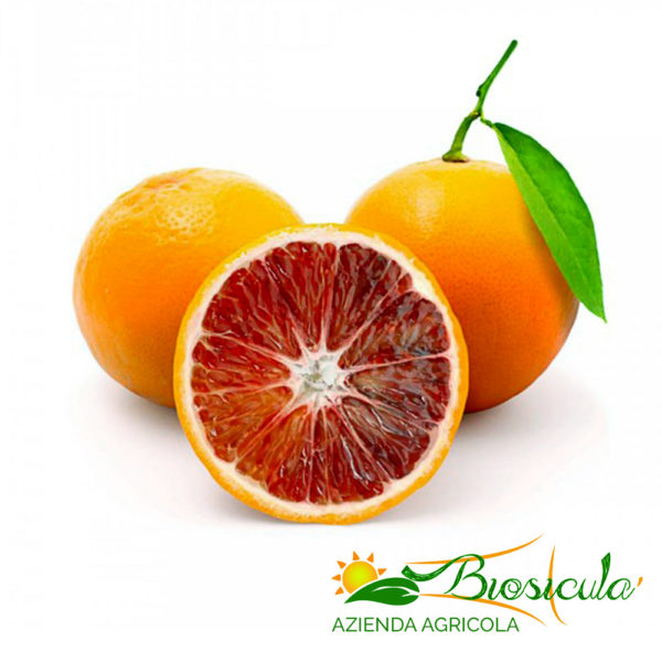 Biosiculà - Moro oranges