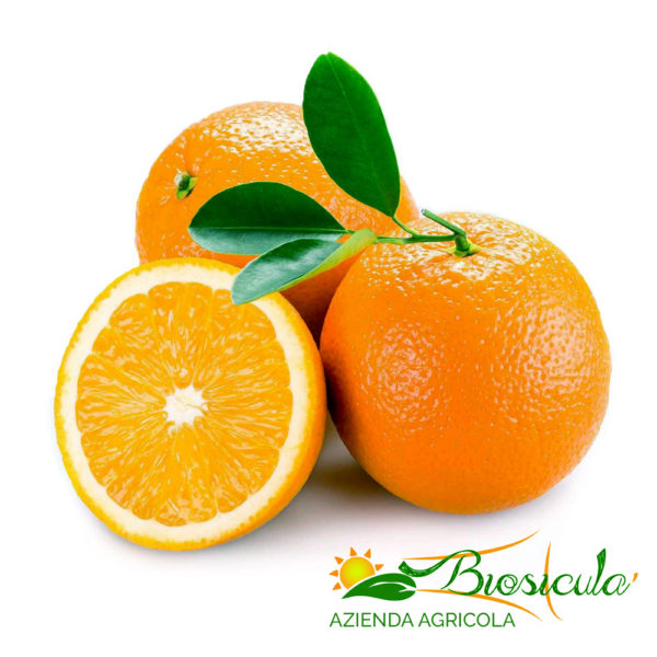 Biosiculà - Valencia oranges