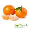 Biosiculà - Clementine mandarins