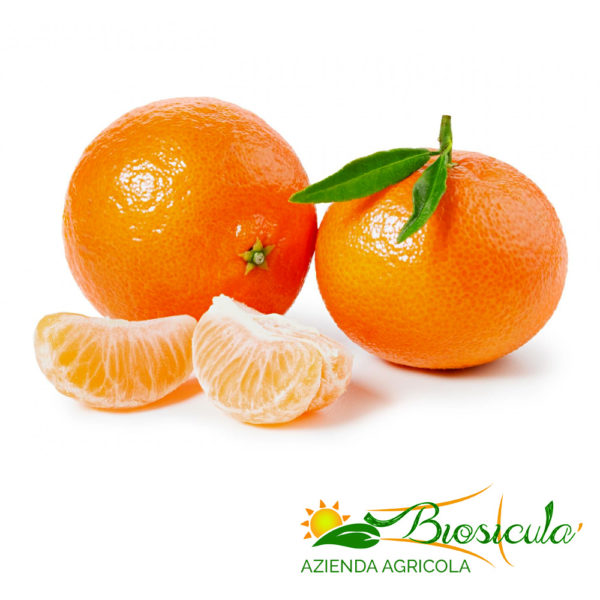 Biosiculà - Clementine - Agrumi biologici di sicilia