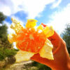 Primosole organic tangerines - Image 4