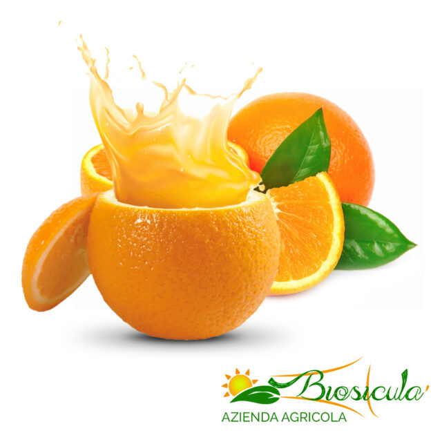 Biosiculà - Organic Valencia oranges for squeezing