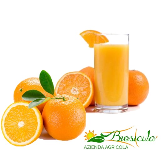 Organic Valencia oranges for juice