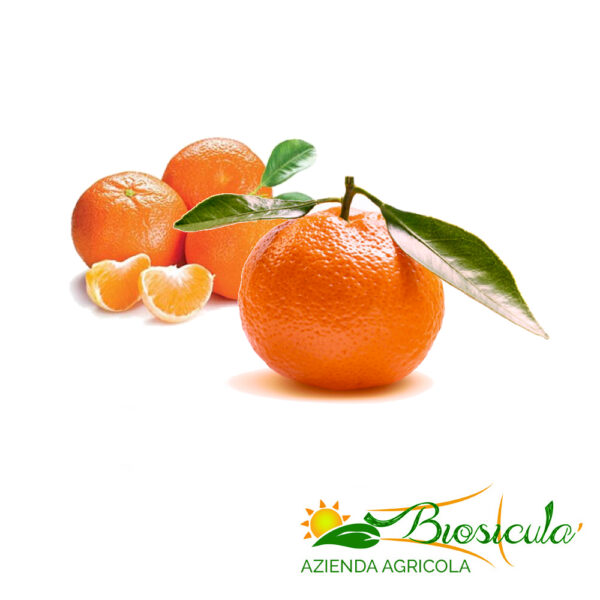 Biosiculà - Clementine biologiche - Agrumi biologici di sicilia