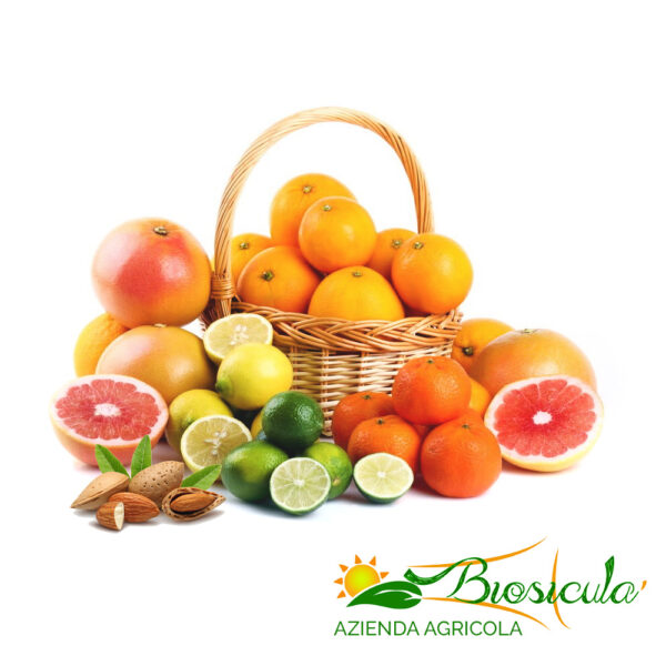 Seasonal citrus mix box