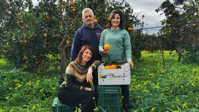 Azienda Agricola Biosiculà - agrumi biologici di sicilia